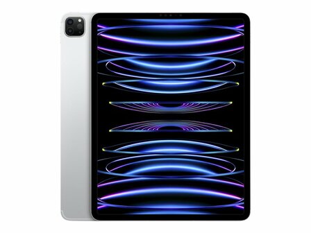 Apple iPad Pro 11 WiFi + Cellular 1TB - Silver - Space Grey (4.Gen 2022) 