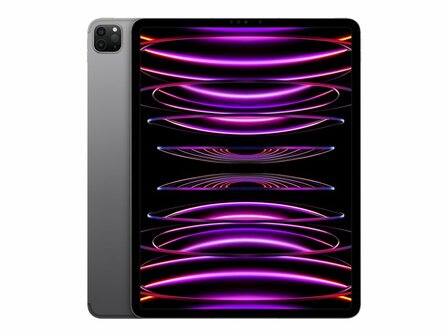 Apple iPad Pro 11 WiFi + Cellular 1TB - Silver - Space Grey (4.Gen 2022) 