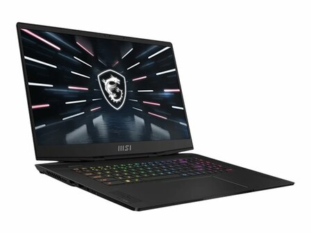 MSI GS66 12UHS 091 Stealth - 39.6 cm (15.6&quot;) - Core i9 12900H - 32 GB RAM - 1 TB SSD - Win 11 Pro