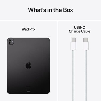 11-inch iPad Pro WiFi 2TB with Standard glass Black / Silver