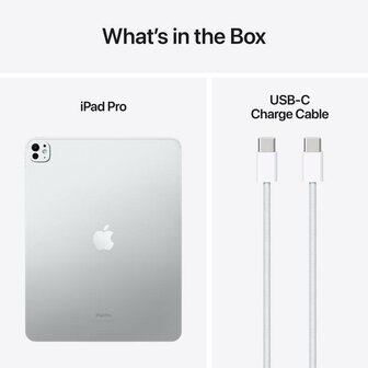 11-inch iPad Pro WiFi 2TB with Standard glass Black / Silver