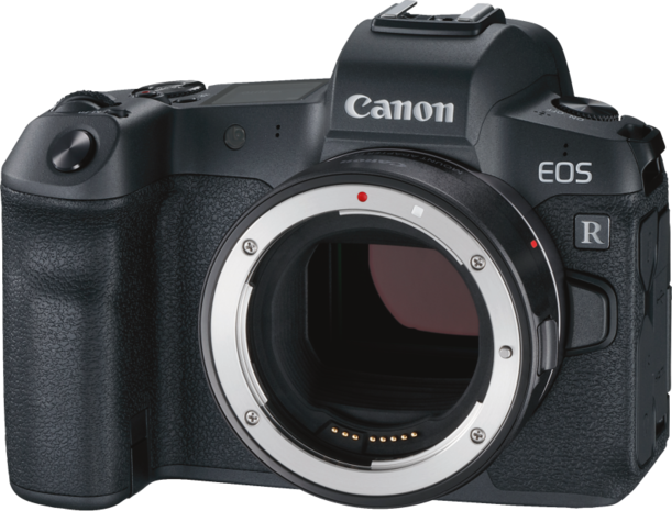  Canon EOS R + RF 24-105mm f/4 L IS USM + Adapter EF-EOS R