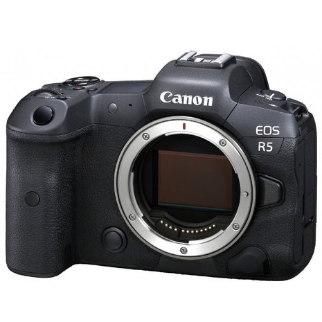 Canon EOS R5 + RF 50 mm ƒ/1,8 STM