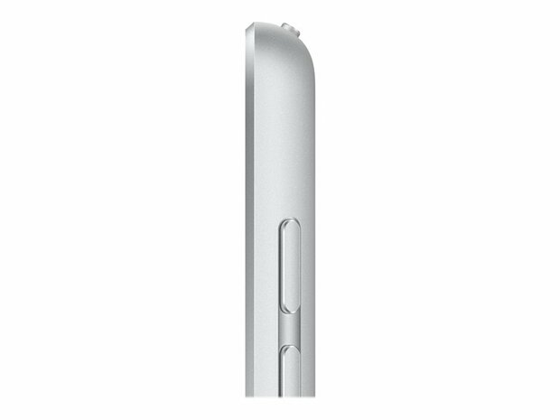 Apple iPad 10.2 WiFi + Cellular 256GB - Silver - Space Grey (9.Gen)