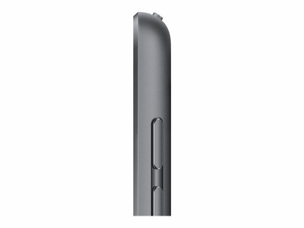 Apple iPad 10.2 WiFi + Cellular 256GB - Silver - Space Grey (9.Gen)