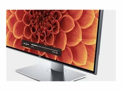 DELL UltraSharp 32 PremierColor UltraHD 8K Monitor - UP3218K - 80,1cm 31,5Zoll DP USB 3.0 Black EURC 