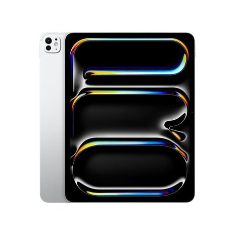 11-inch iPad Pro WiFi 2TB with Standard glass Black / Silver