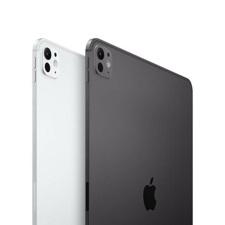 11-inch iPad Pro WiFi 2TB with Standard glass Black / Silver