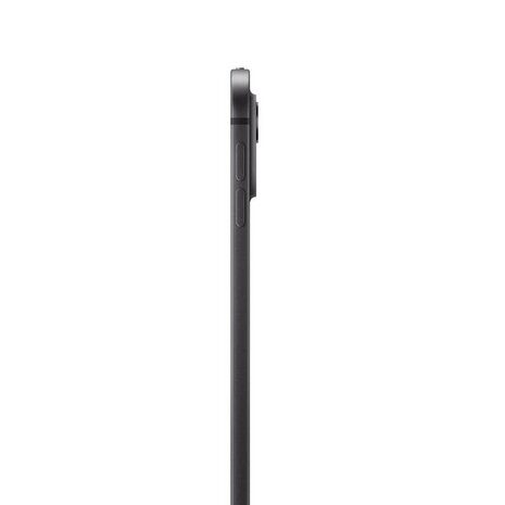 11-inch iPad Pro WiFi 2TB with Standard glass Black / Silver