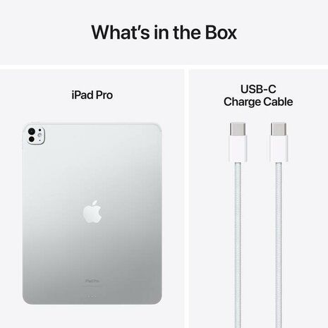 11-inch iPad Pro WiFi 2TB with Standard glass Black / Silver