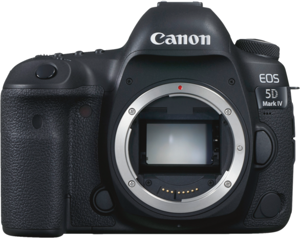 Canon EOS 5D Mark IV + Telezoom-Objektiv 24-105mm F4.0 L II